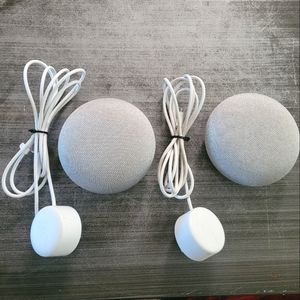 2 Google Home Mini
